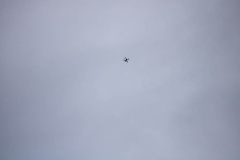 IMG_0529