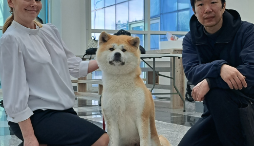 2025年3月